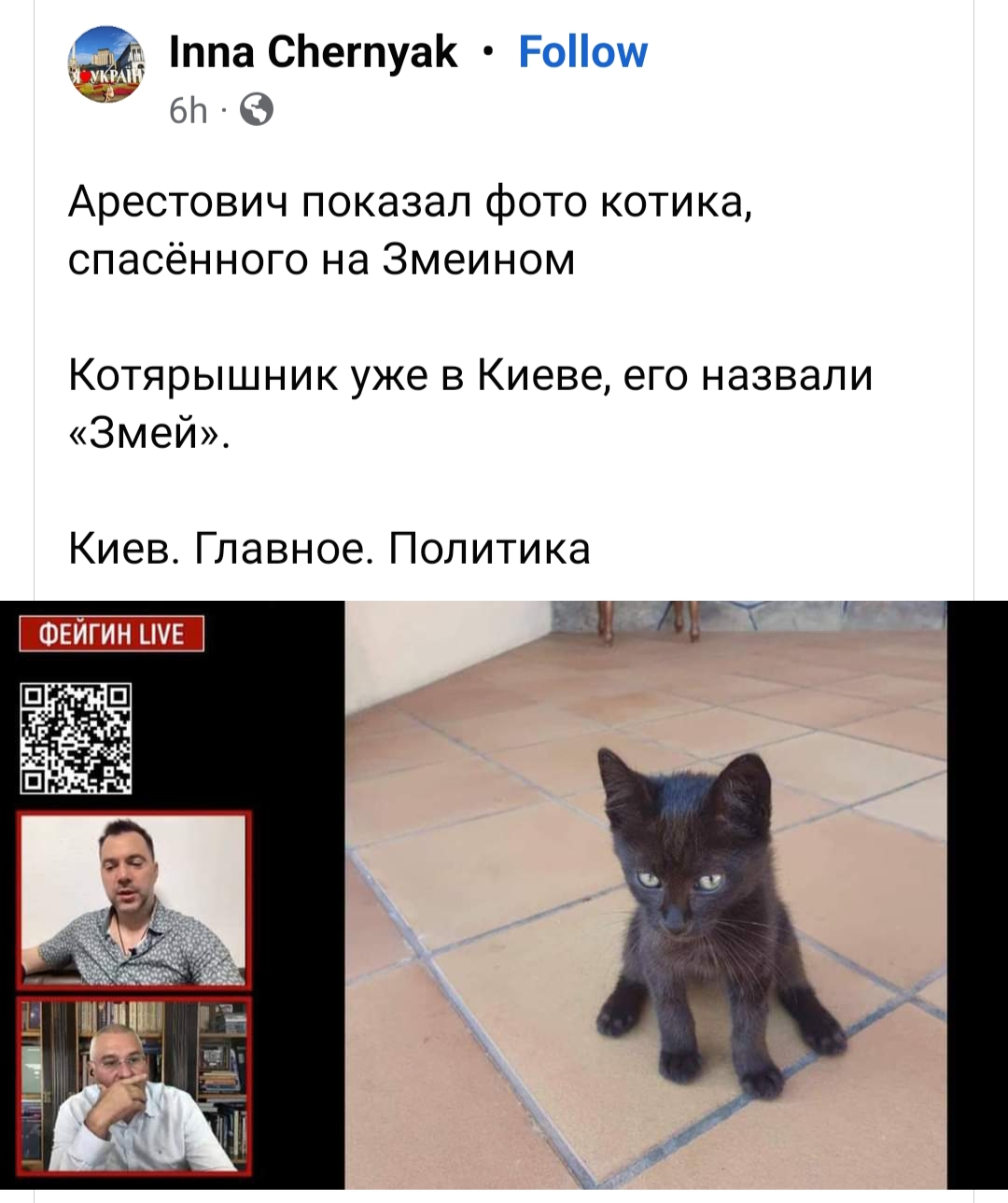 Inna Chernyak &bull; Follow 6h &bull; Арестович показал фото котика, спасённого на Змеином Котярышник уже в Киеве, его назвали &laquo;Змей&raquo;. Киев. Главное. Политика ФЕЙГИН LIVE
