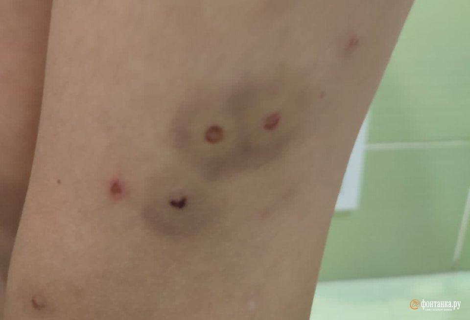 фонтанка. ру,