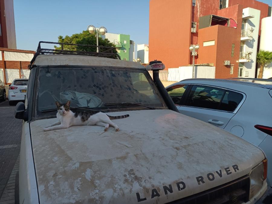 LAND ROVER
